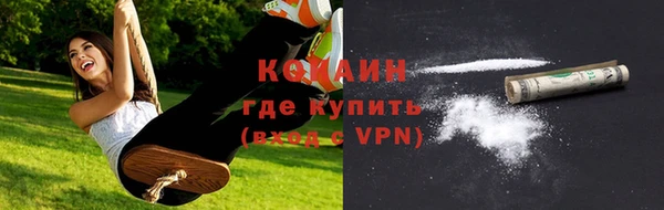 дмт Богородицк