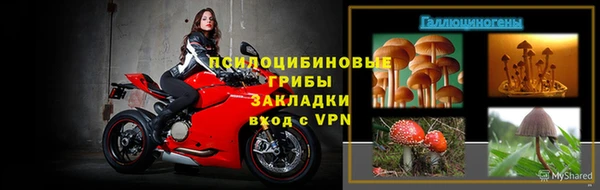 дмт Богородицк