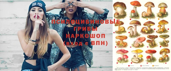 дмт Богородицк