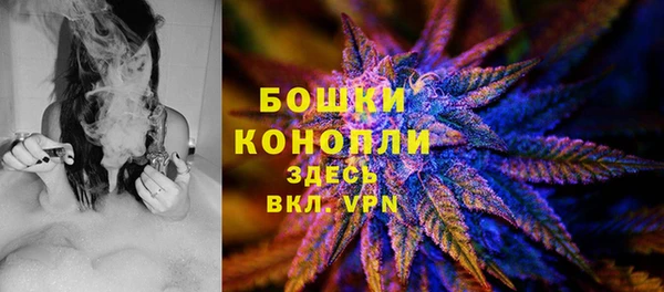 spice Белокуриха